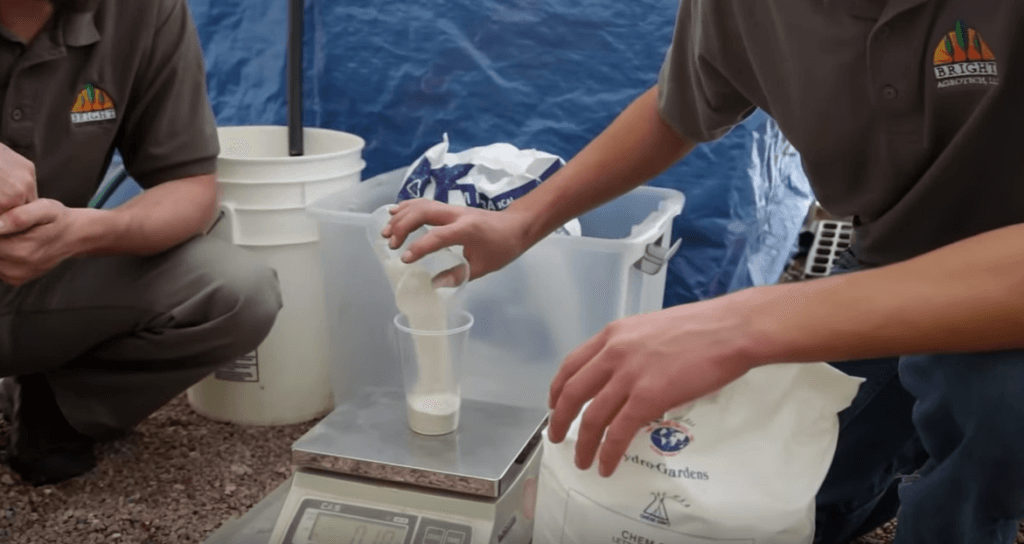 An Overview of Hydroponic Nutrient Management for Every Grower