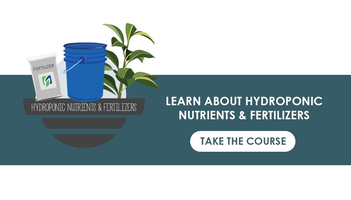 An Overview of Hydroponic Nutrient Management for Every Grower