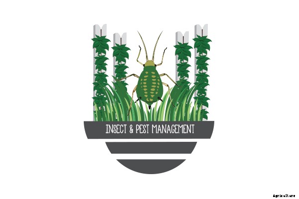 How to Control Aphids Now and Forever