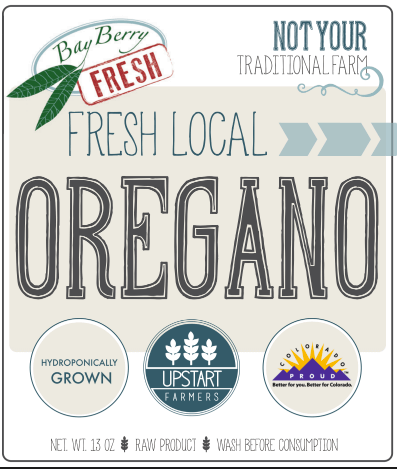 Growing Oregano in Hydroponics? Read This First!