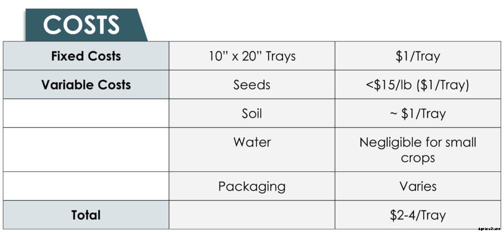 How to Grow Microgreens: The Beginner’s Guide