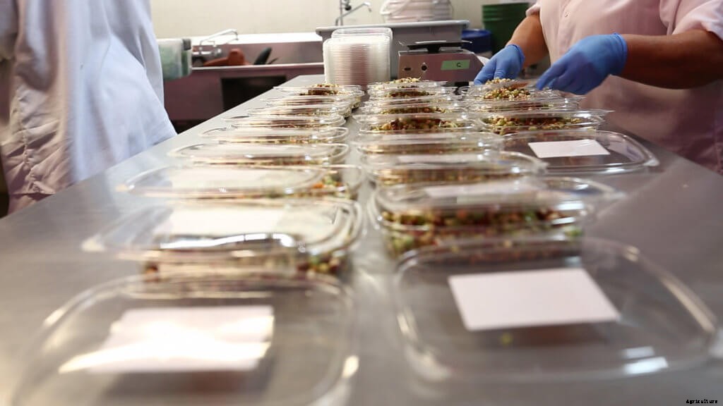 How to Grow Microgreens: The Beginner’s Guide