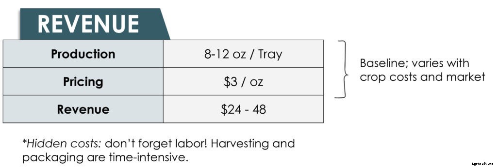 How to Grow Microgreens: The Beginner’s Guide