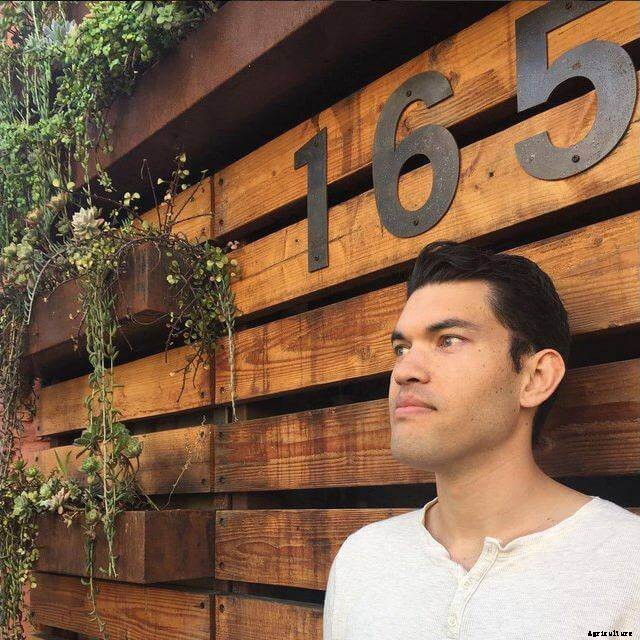 How to Grow Microgreens: The Beginner’s Guide