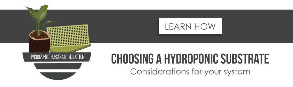 Pros and Cons of Hydroton (Clay Pebbles) in Hydroponics