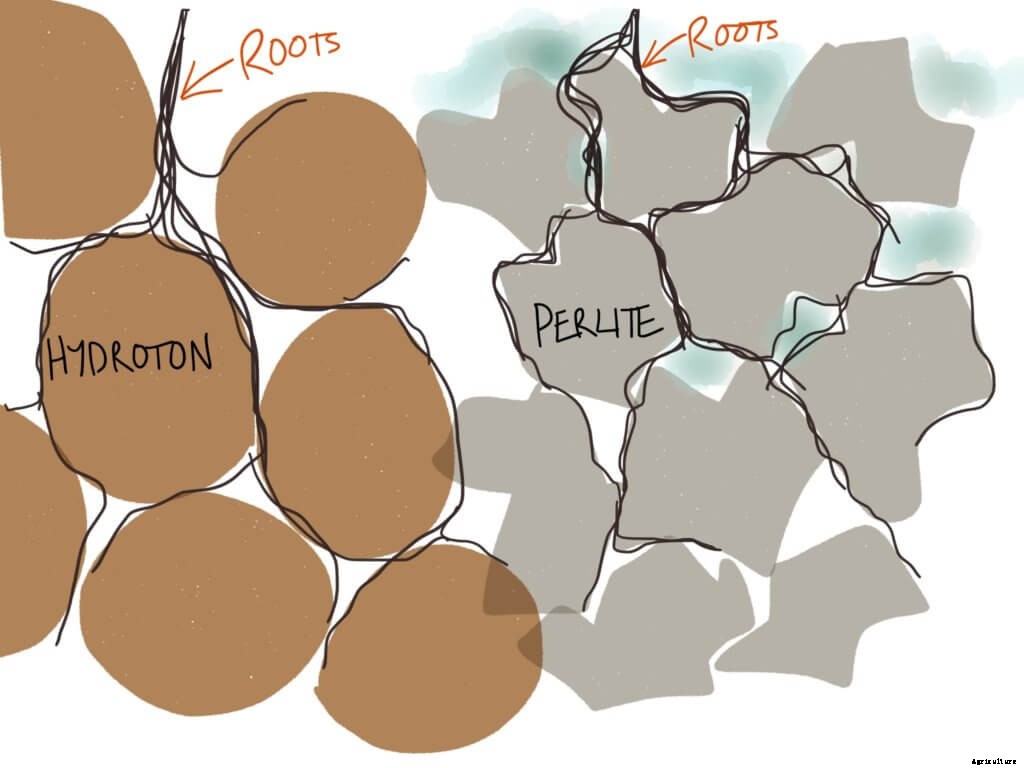 Pros and Cons of Perlite in Hydroponics: Is it For You?