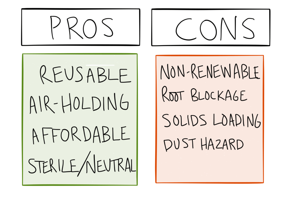 Pros and Cons of Perlite in Hydroponics: Is it For You?