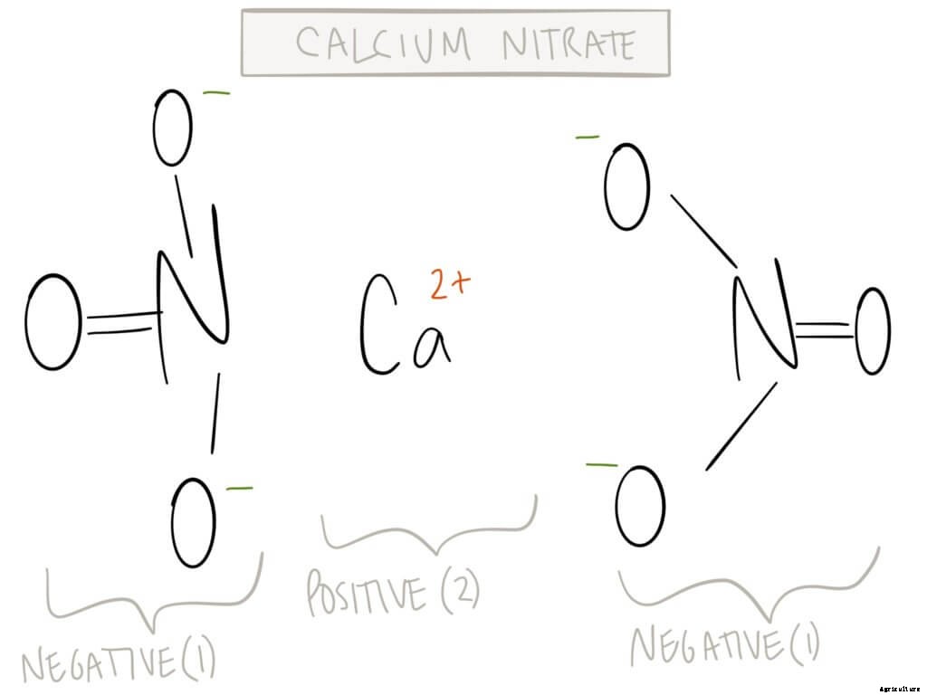 How to Choose Hydroponic Fertilizers