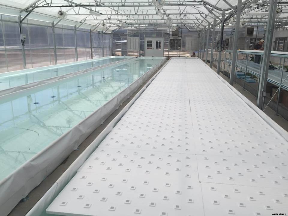 Introduction to the Aquaponic Raft System
