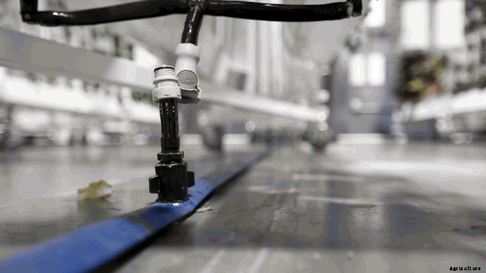 How to Use a Filtration Manifold to Clean & Sterilize Hydroponic Water