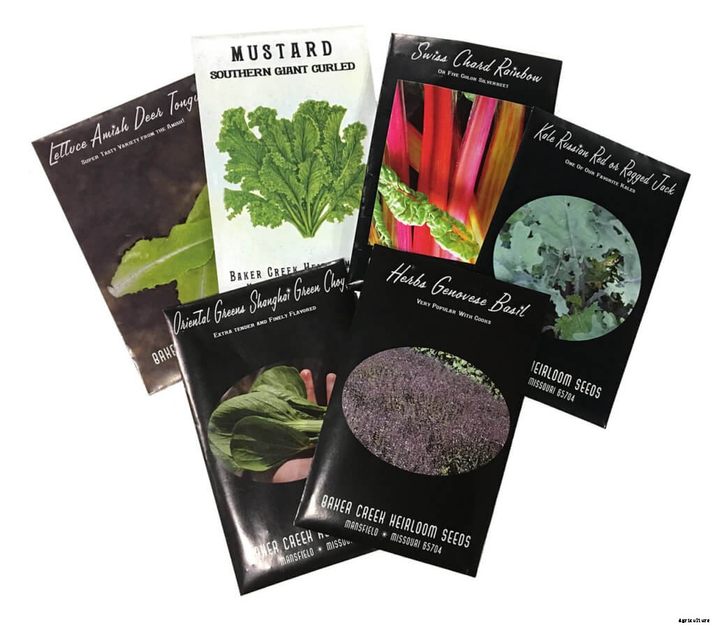 How to Use and Mix Your Own Soilless Potting Mix for Hydroponics