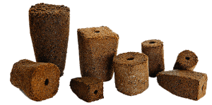 How to Prevent Mold and Algae on Seedlings