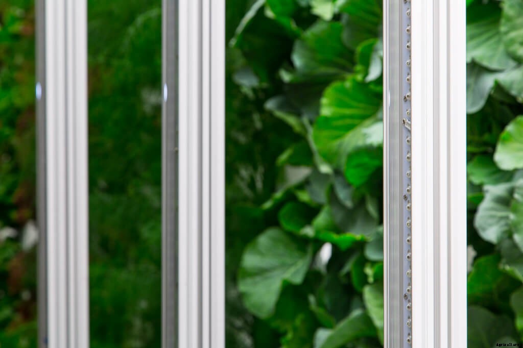 How to Choose High Efficiency LEDs for Your Farm