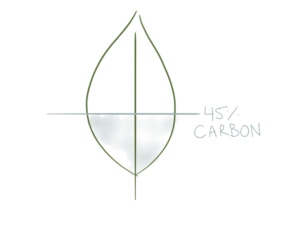 How To Calculate CO2 Enrichment to Boost Yields