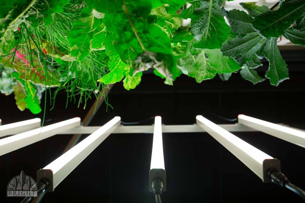 How do LED Costs Compare to HID Lighting?