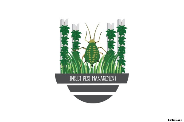 How to Use Ladybugs for Pest Control in Indoor Farming