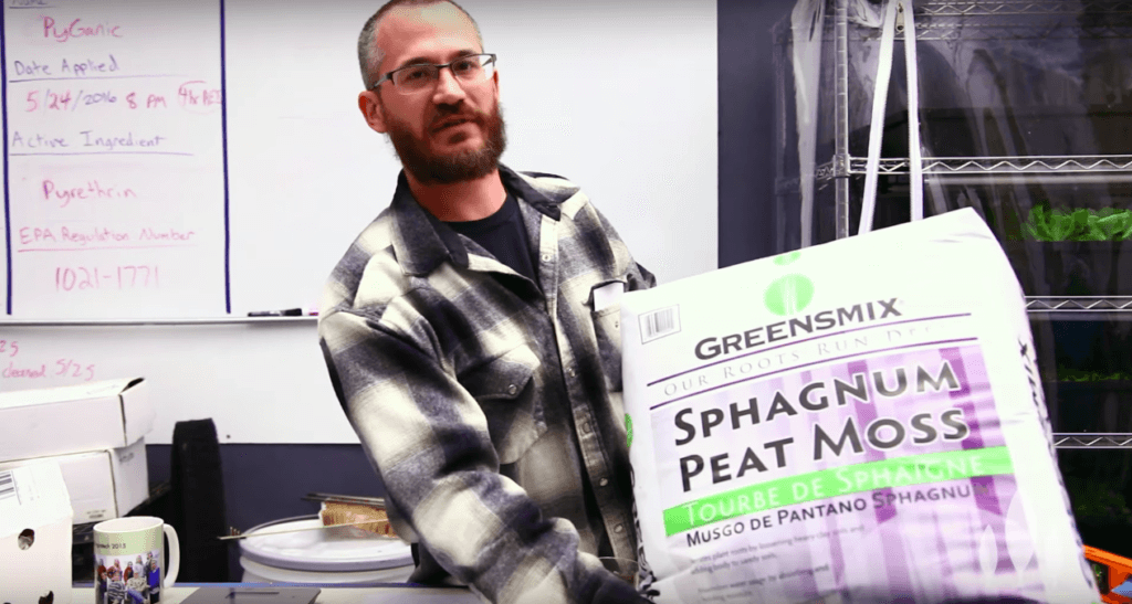 Should You Use Peat Moss as a Growing Medium?