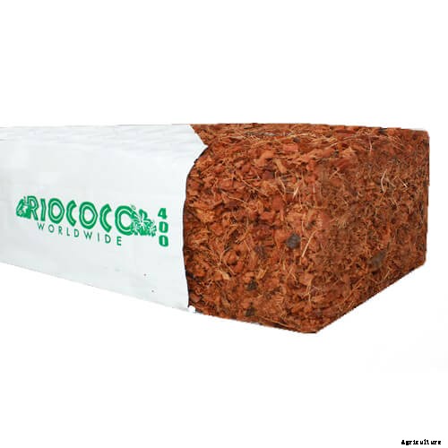 Should You Use Peat Moss as a Growing Medium?