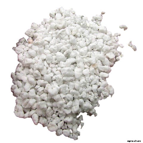 Bato Buckets for Beginners: A Simple System for Vining Crops