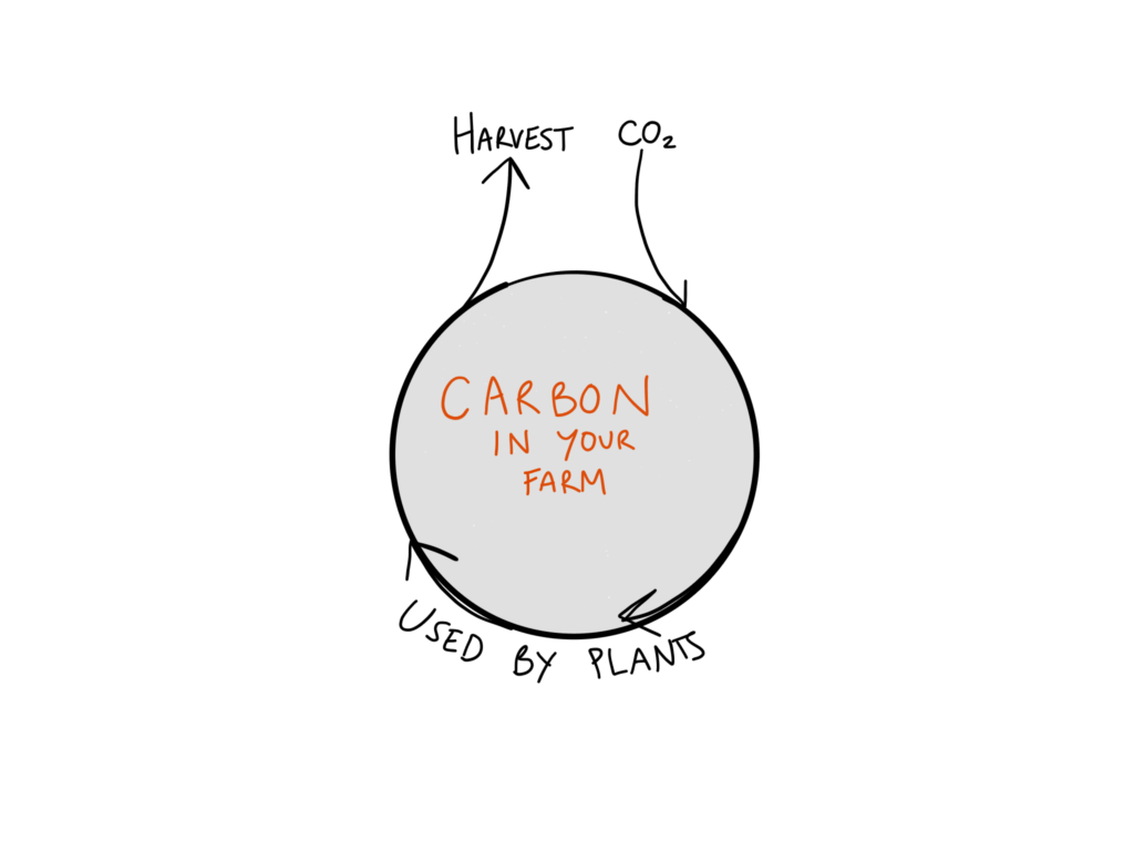 Why and How to Supplement CO2 in Indoor Farms
