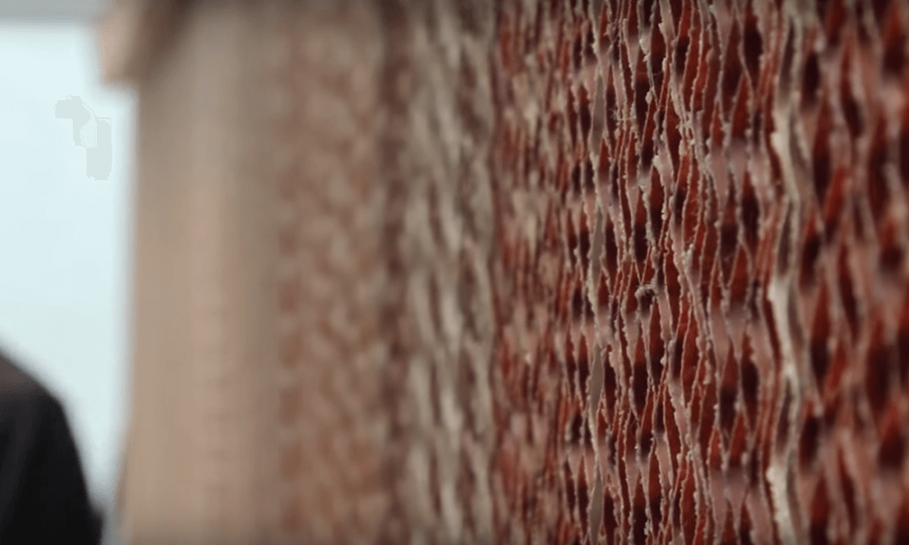 The 4 Best Ways to Cool a Greenhouse