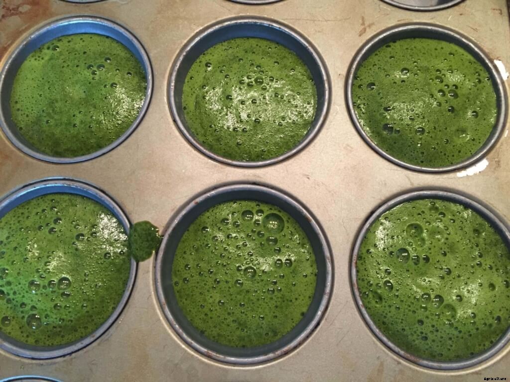 Tell Your Customers How to Save Extra Basil