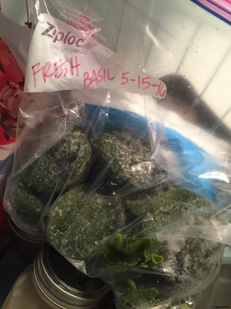 Tell Your Customers How to Save Extra Basil