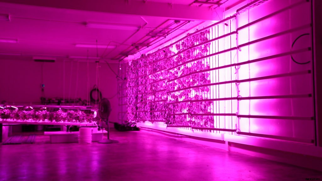 The Pros and Cons of LED Light Bars