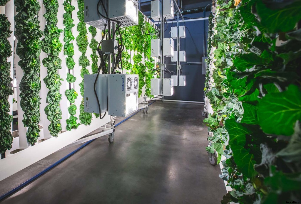 The Pros and Cons of LED Light Bars