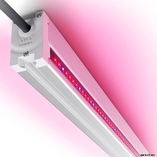 6 Types of LED Light Bars for Indoor Farming