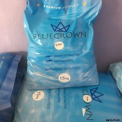 Best Feed for Catfish in Nigeria