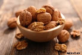 8 most profitable agricultural businesses