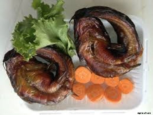 How to Preserve Fish for Home or Commercial use