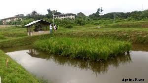 Integrated Agri- Aquaculture System