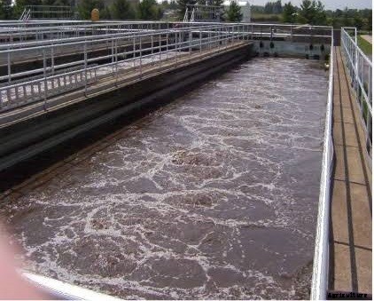 Sewage Fish: Sewage–Fed Fish Culture