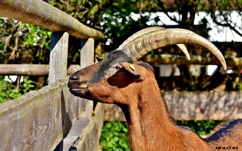 Types of Farming: 13 Major Types of Farming