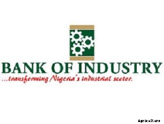 Traditional Lenders: How to Get Bank Loans in Nigeria