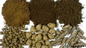 Feed Ingredients in Commercial Catfish feeds