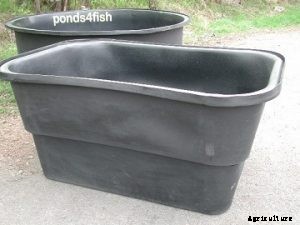 Start a Catfish Business with Plastic Tanks