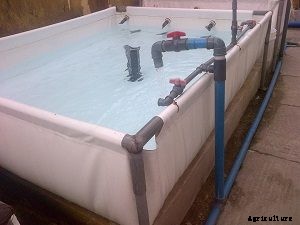 Make Money by Leasing your Catfish Farm