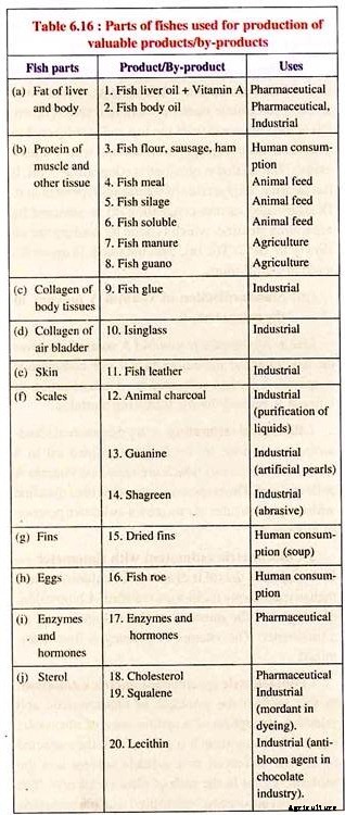 25 Uses of Fish and Fish Products (Updated)