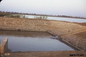 Factors to Consider when Selcting your Fish Farming Site