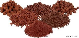 The Quantity of Feed CatFish Eat at a Time