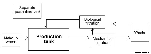 Meaning of Recirculating Aquaculture System (RAS) in Fish Farming