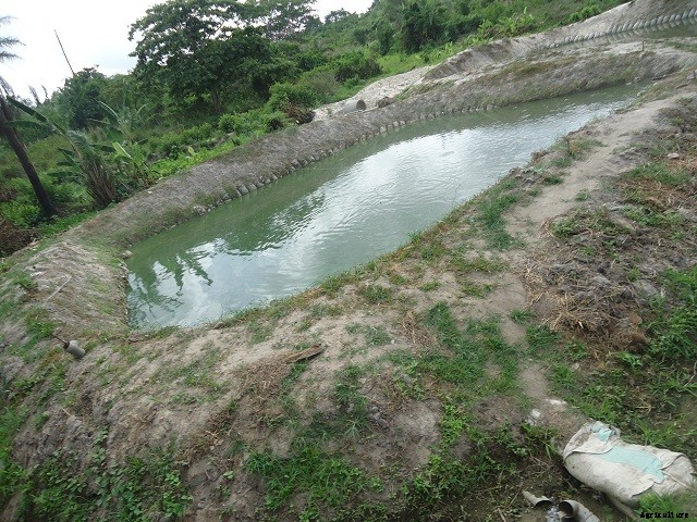 Find out: “Earthen Pond vs Concrete Pond” Which one is Better?
