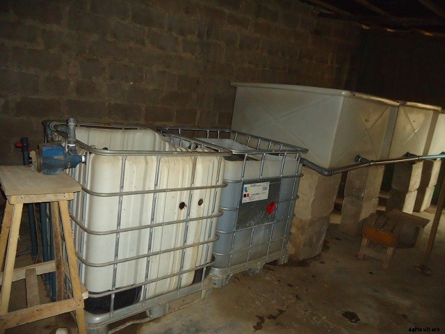 Find out: “Earthen Pond vs Concrete Pond” Which one is Better?