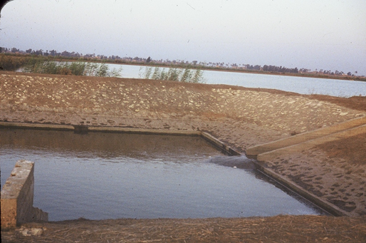 The Ideal depth of an Earthen Fish Pond