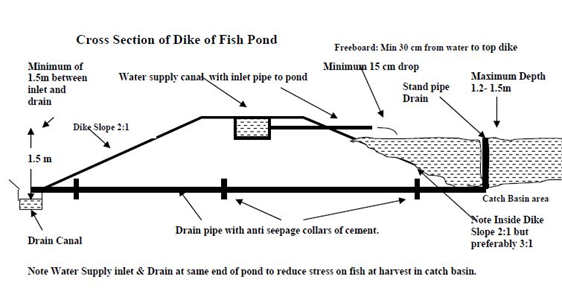 The Ideal depth of an Earthen Fish Pond