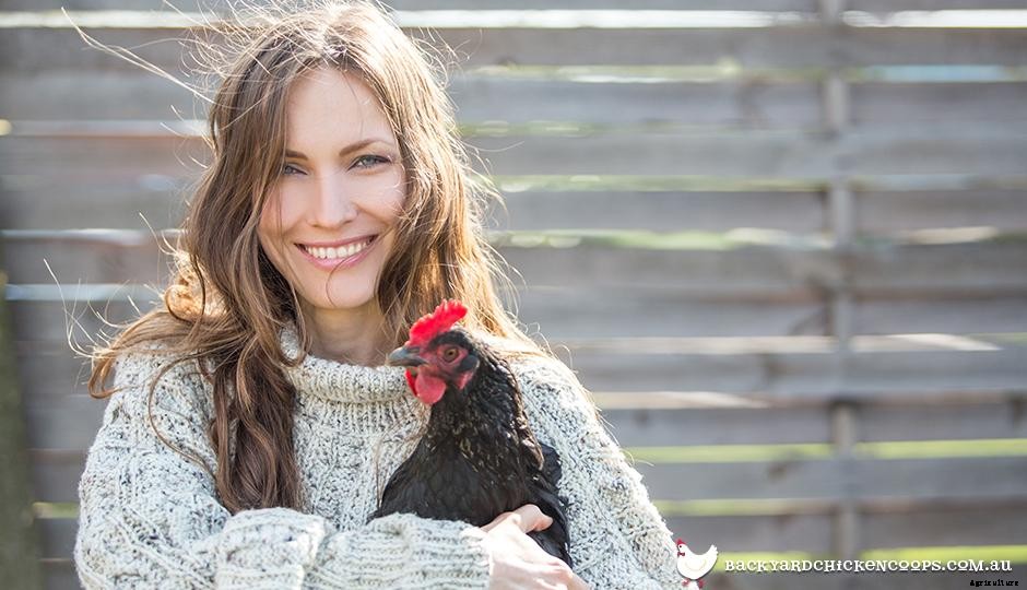 5 Backyard Chicken Keeping Myths - Busted!