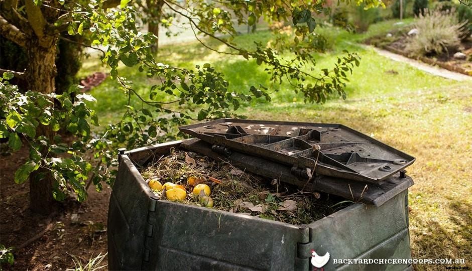 Creative Composting - Cheers to Chickens!
